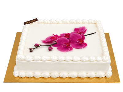TORT OKOLICZNOŚCIOWY O.06