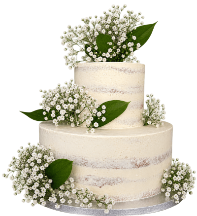 TORT WESELNY W.02