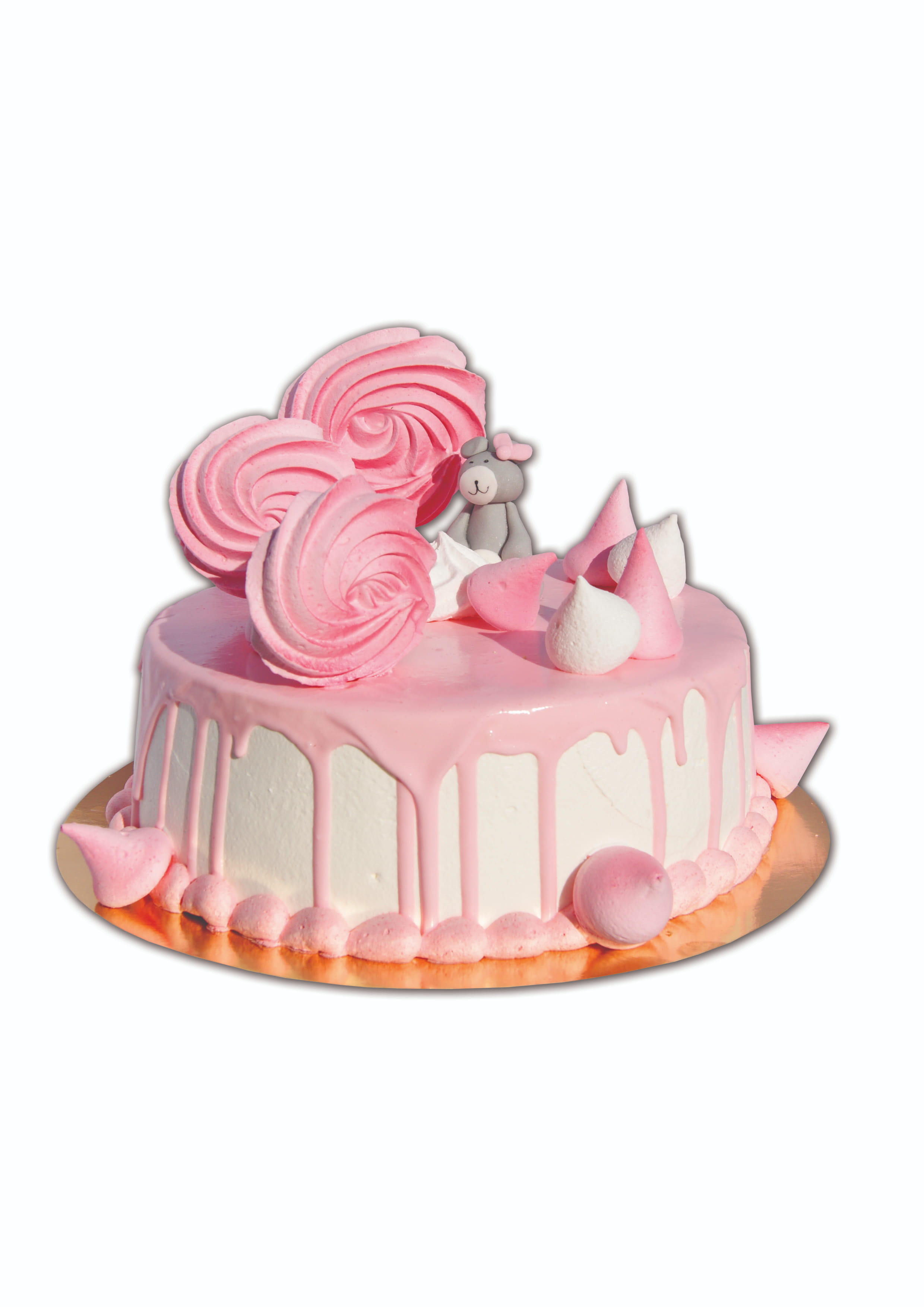 TORT_D6